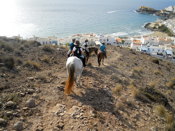 Best offers for El Dorado CABO DE GATA