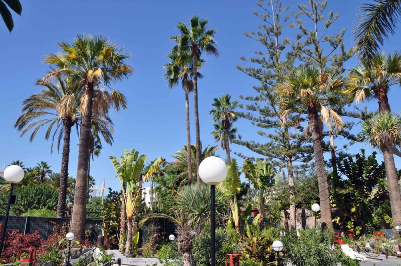 Best offers for San Valentin & Terraforpark Playa del Inglés