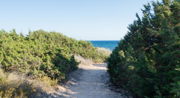 Best offers for HOSTAL ES PI 2 Playa Mitjorn