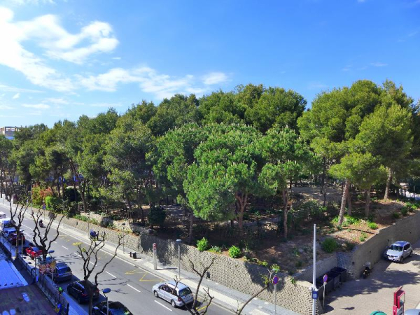 Best offers for RENTALMAR GOYA Salou