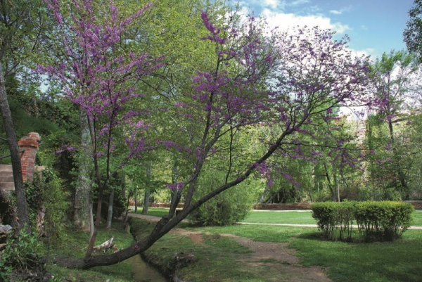 أفضل العروض ل  خارابه