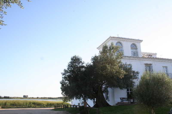 Best offers for Toruño Hotel Restaurante El Rocio