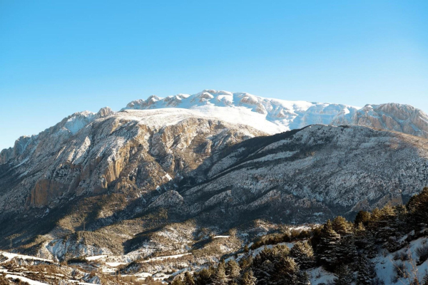 Best offers for Los Nogales Mejorada Del Campo