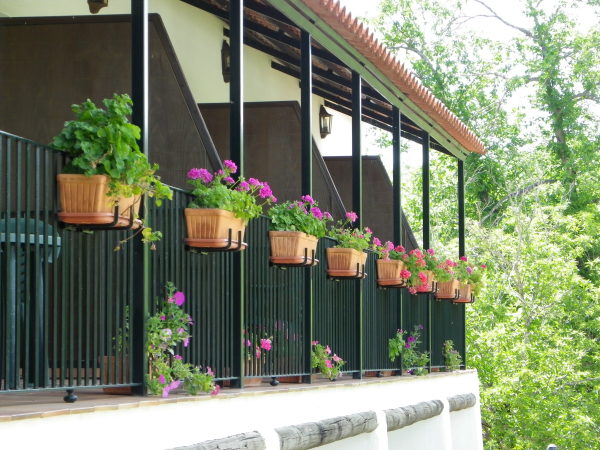 Best offers for Finca la Media Legua Aracena