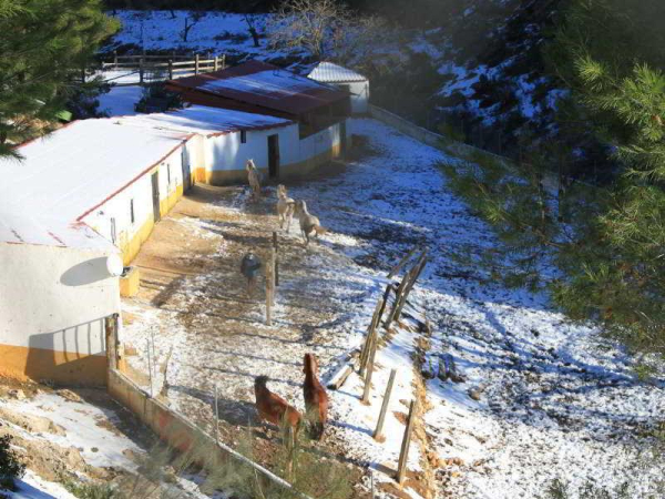 أفضل العروض ل فندق بيجا سييرا سبا و كاساس روراليس بوغاره