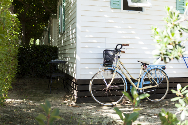 أفضل العروض ل  كامبريلس