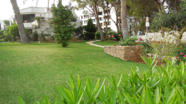 Best offers for Tres Carabelas 3000 Alcocéber