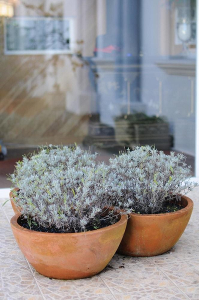 أفضل العروض ل  سان فيسنتي دي لا باركيره