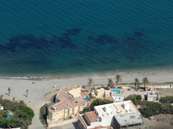 Best offers for El Dorado CABO DE GATA