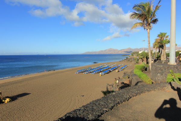 أفضل العروض ل ابارتامينتوس ارينا دورادا بويرتو ديل كارمن