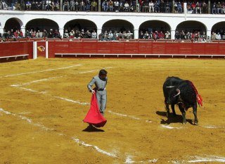 Best offers for PLAZA DE TOROS DE ALMADEN Almaden