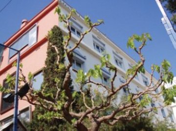 Best offers for CESAR Vilanova I La Geltru