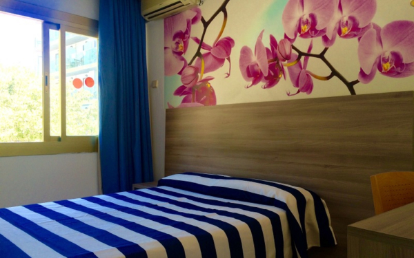 Best offers for Bon Repos Calella