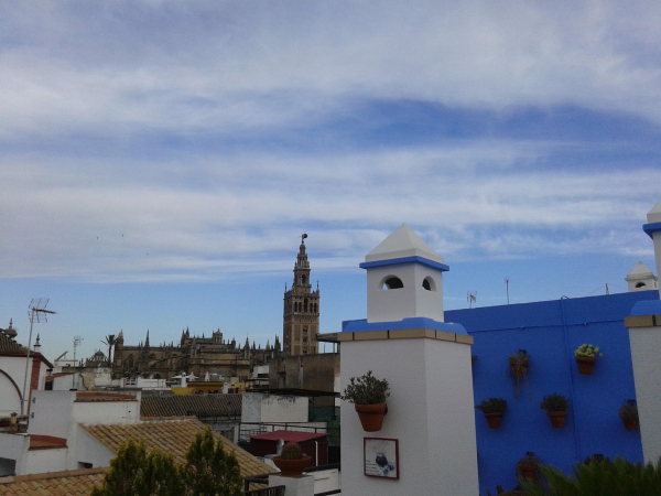 Best offers for Murillo Seville