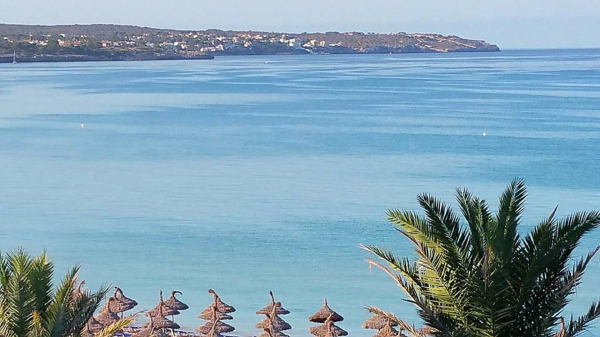 Best offers for Myseahouse Flamingo Palma Beach