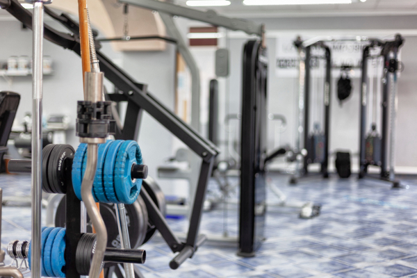 أفضل العروض ل  كالا راتجادا