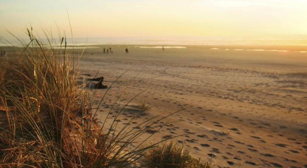 أفضل العروض ل فندق دويرمينج مونتالبو بلايا ساناكسينكسو 