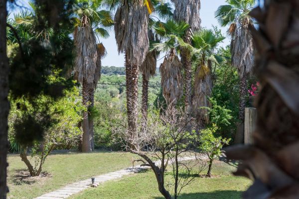 Best offers for Rural Son Jorda Sencelles