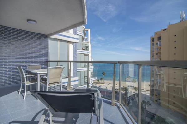 Best offers for APTOS. HIPOCAMPO Calp