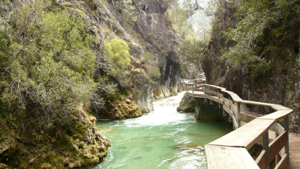 Best offers for Montaña de Cazorla Cazorla