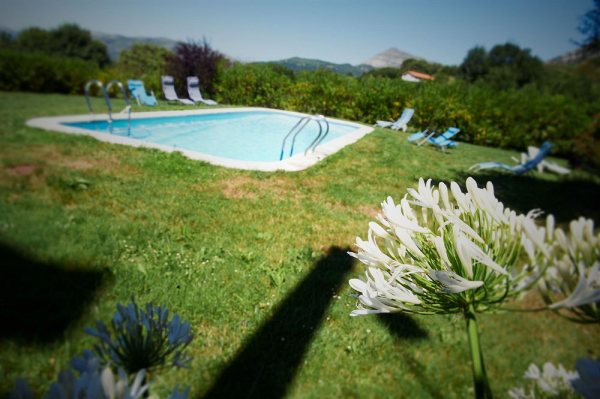 أفضل العروض ل ايري دي رويسجا رويسجه