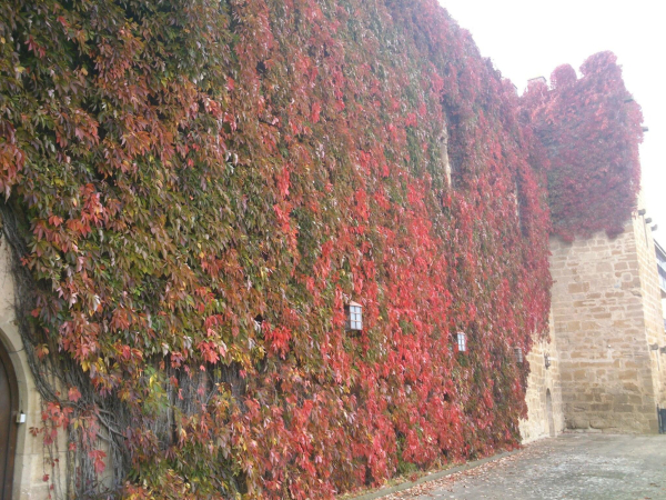 Best offers for Parador De Olite Olite