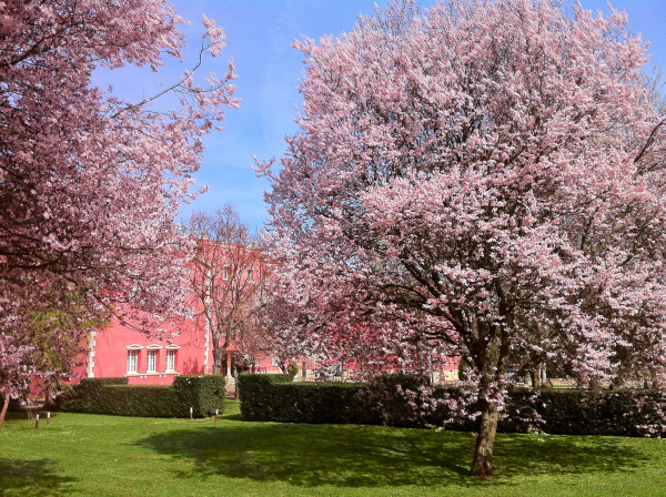 Best offers for San Camilo Navarrete