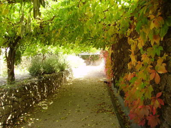 Best offers for Casa de Santo António de Britiande Viseu