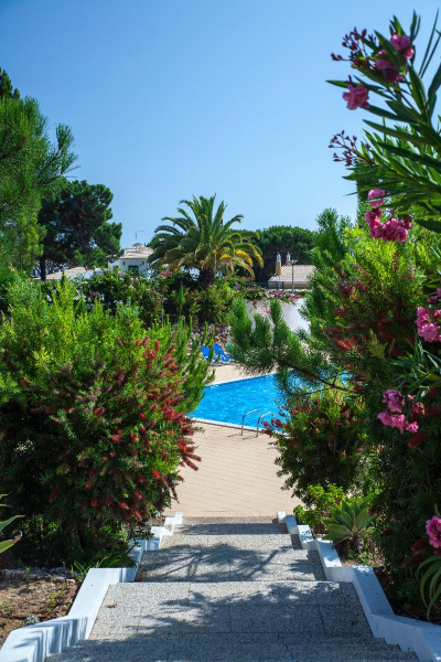 Best offers for PINHAL DA MARINA Boliqueime