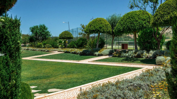 Best offers for Baia da Luz Lagos