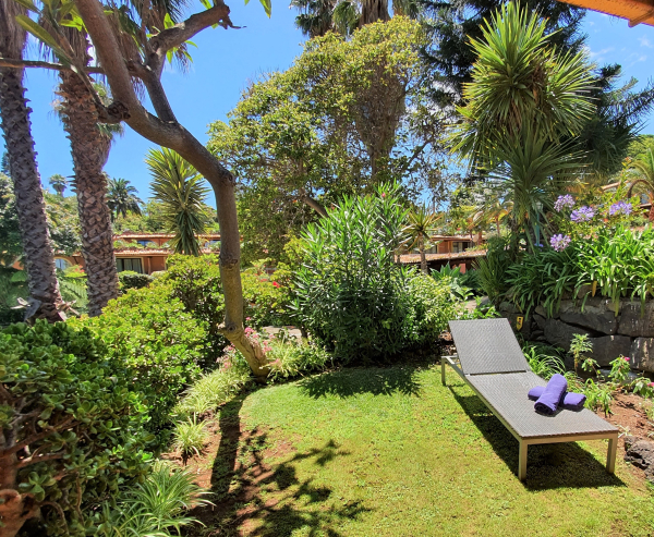 أفضل العروض ل  كانيكو