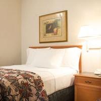 La Quinta Inn & Suites Dallas - Dfw Airport South