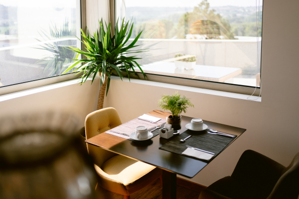 Best offers for Conde d'Agueda Agueda