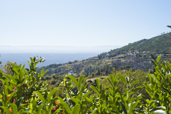 Best offers for Hotel Golden Tulip Caramulo CARAMULO