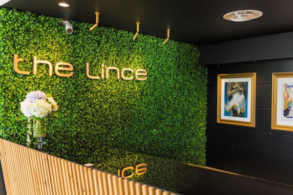 أفضل العروض ل The Lince Azores بونتا ديلجادا