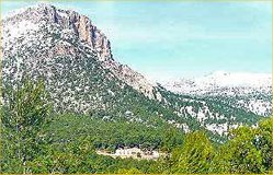 Cortijo Peña Rubia  - Casa Del Labrador