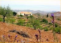 Best offers for Cortijo Los Nopales Puerto Lumbreras