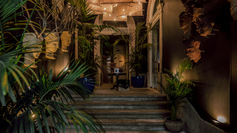 Best offers for Torel 1884 Porto