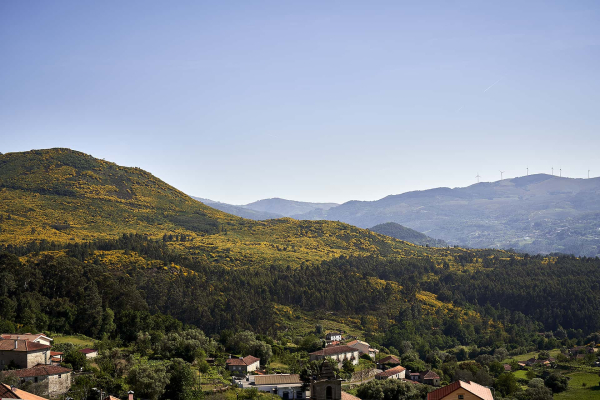 Best offers for The Vinea Collection Hotel Moncao