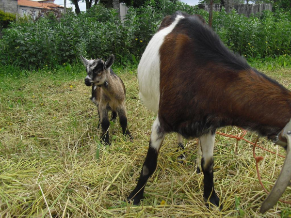 Best offers for Quinta Do Riacho Povoa De Lanhoso