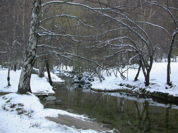 Best offers for Albergaria Senhora do Espinheiro Covilha