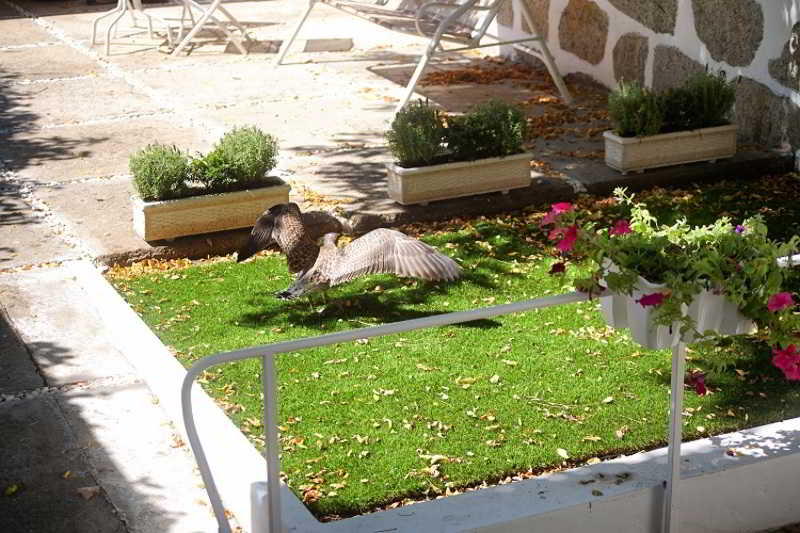 Best offers for Charming House Marquês Porto