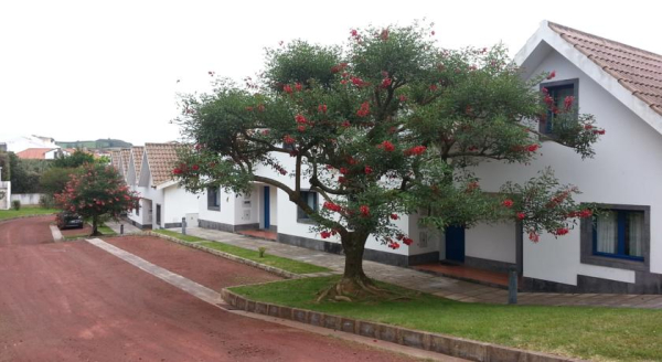 Best offers for Apartamentos Turisticos Nossa Senhora Da Estrela Capelas