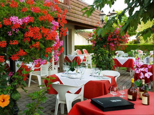 أفضل العروض ل شز باش شوسسين