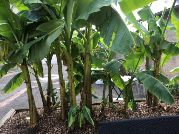 أفضل العروض ل اوبرج دو فال د لوار تور