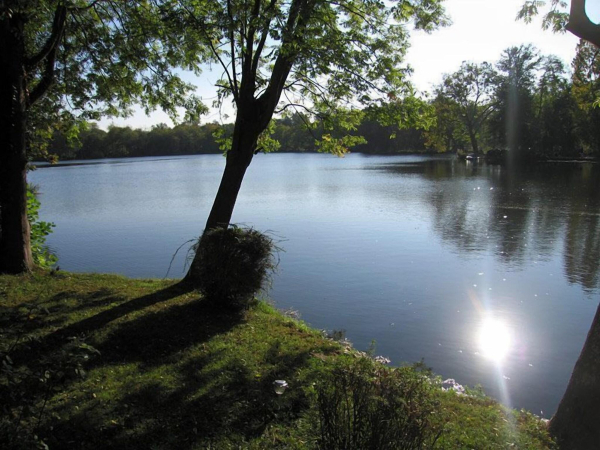 Best offers for Hotel Ile Du Saussay Colmar