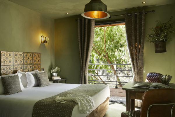 أفضل العروض ل تر ستلل بونيفاسيو