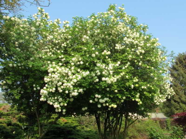 Best offers for Acostel Paris