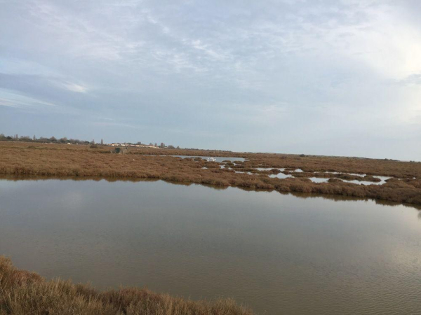 أفضل العروض ل فندق ت وريجينالس اكسس بازيرس-سان فيللنوف-لس-بزيرس