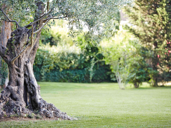 Best offers for Novotel La Rochelle Centre La Rochelle